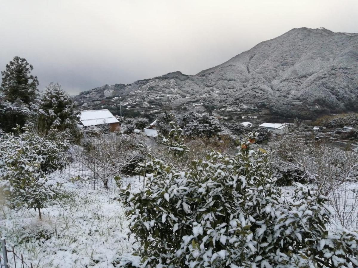 Kumano Kodo Nagano Guesthouse Tanabe Exteriör bild